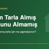 Babam tarla almış tapusunu almamış