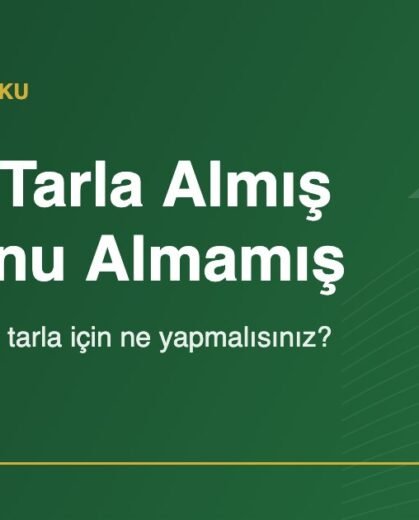 Babam tarla almış tapusunu almamış